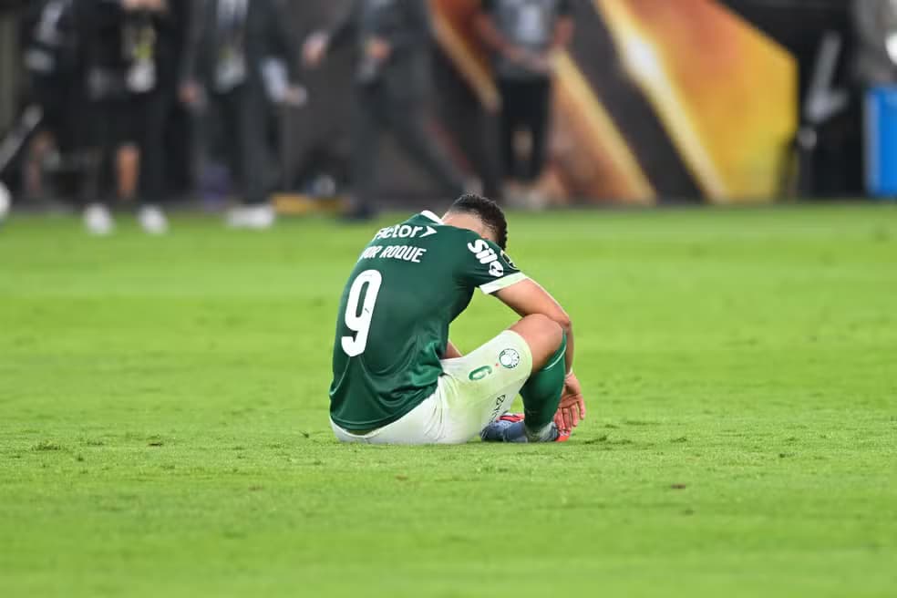 Entre o orgulho e a frustração: o sentimento do torcedor do Palmeiras ao fim da temporada  